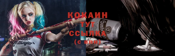 СК Белокуриха