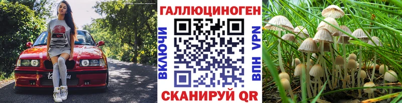 Галлюциногенные грибы мицелий  Купить где  Муравленко 